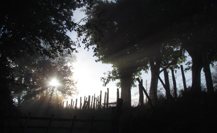 A Beauty Filled&nbsp;Life