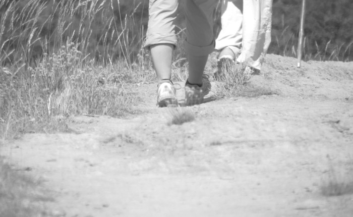 When the Exciting Journey Becomes Tiring, Carry&nbsp;On