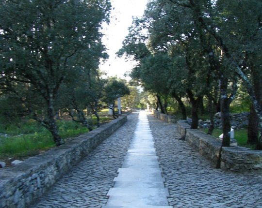 The Evangelized Family