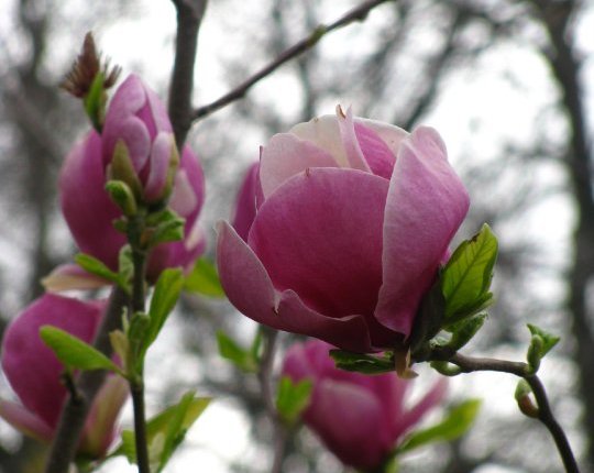 Teaching: To Pursue The Truth&nbsp;Together