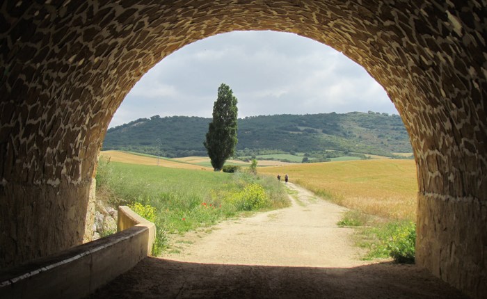 When Simplicity Must Be&nbsp;Chosen