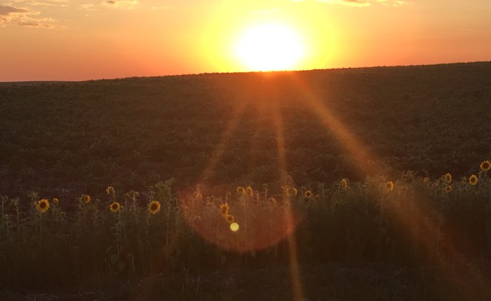 Proclaim Liberty to the&nbsp;Captives