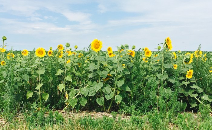 Honey, I love you, but being married to you is a&nbsp;burden