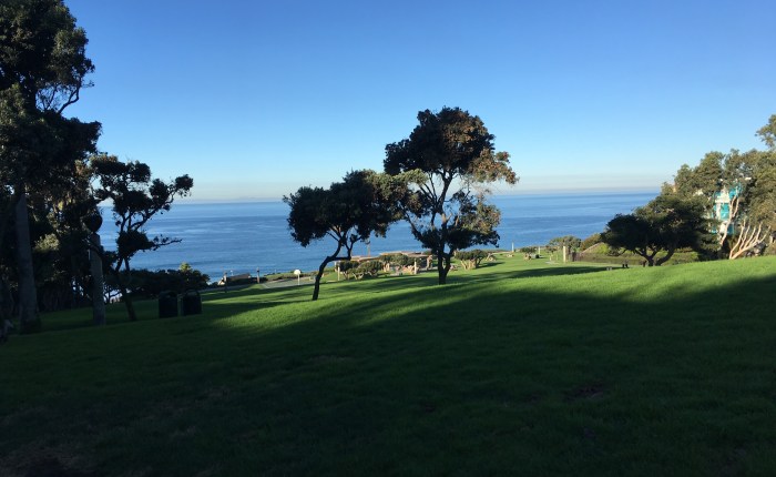 Is there free will in&nbsp;Heaven?