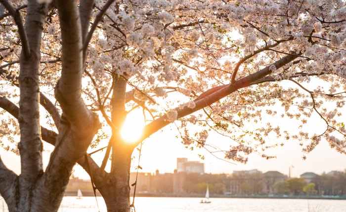 In Defense of&nbsp;Summers