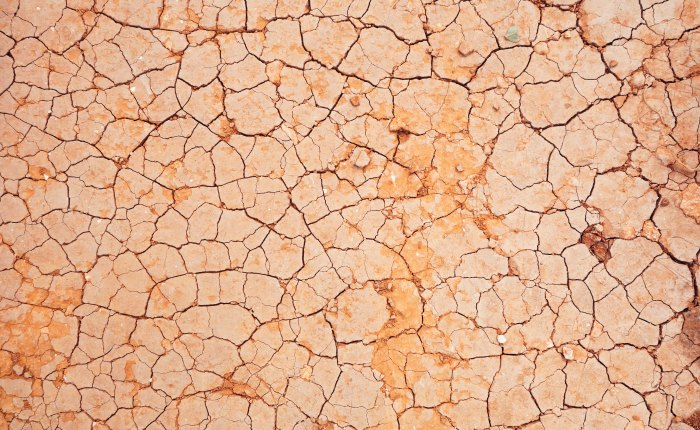 Controlled Burn: A Song of&nbsp;Longing