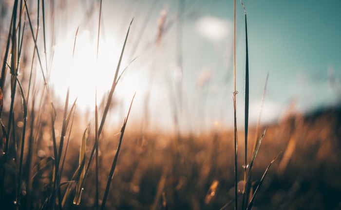 The Church Showed Up&nbsp;Again