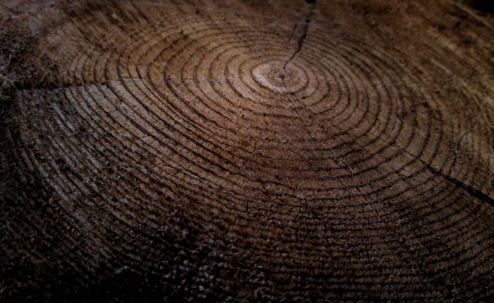 Basic, but Beautiful