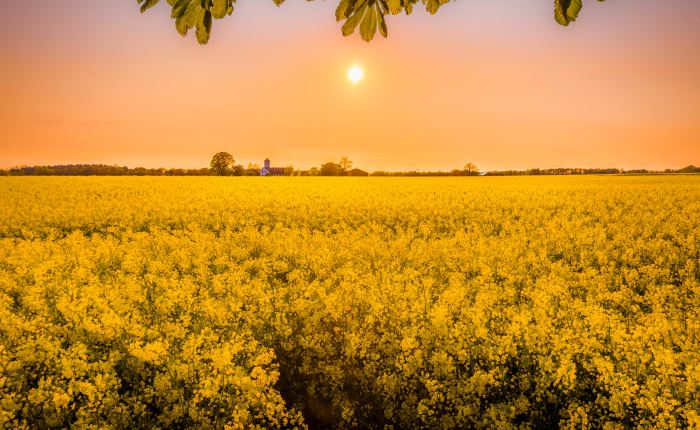 A Life in Christ is a New&nbsp;Life