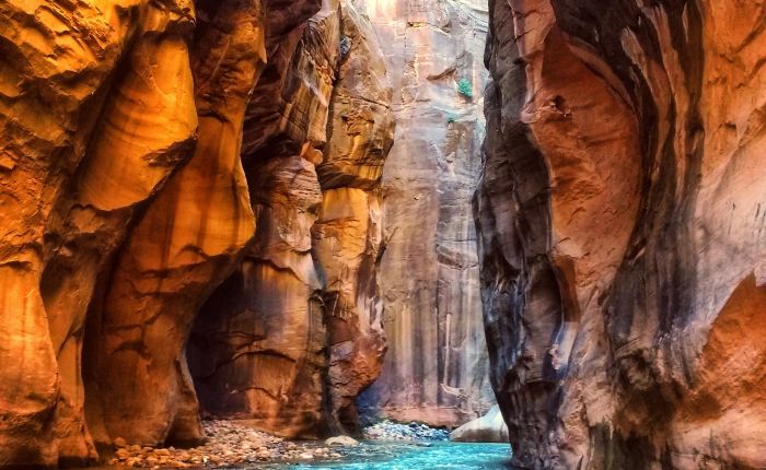 From My Heart to Yours: A Lenten&nbsp;Devotional