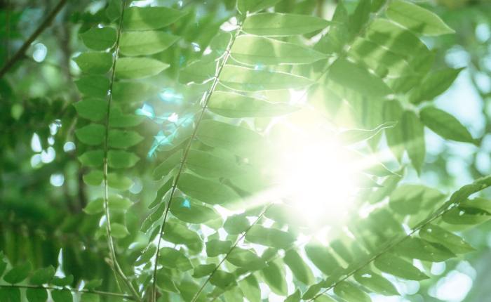 Relentless Pursuit: How Prison Ministry Causes Me to Stand in Awe Before the Mercy of&nbsp;God