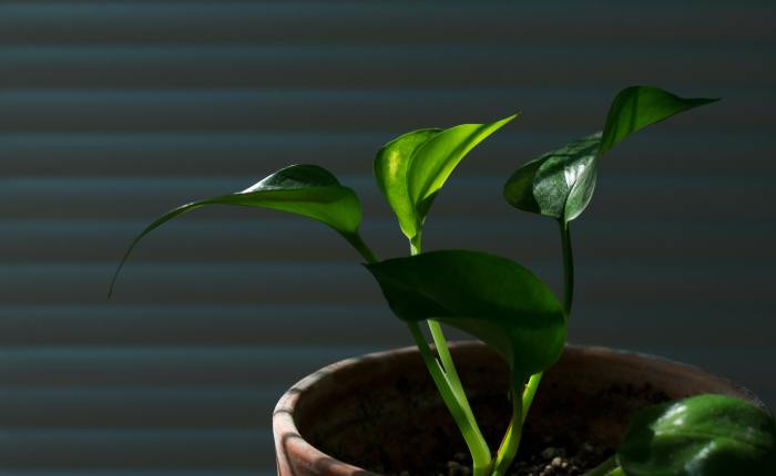 For Such a Time as&nbsp;This