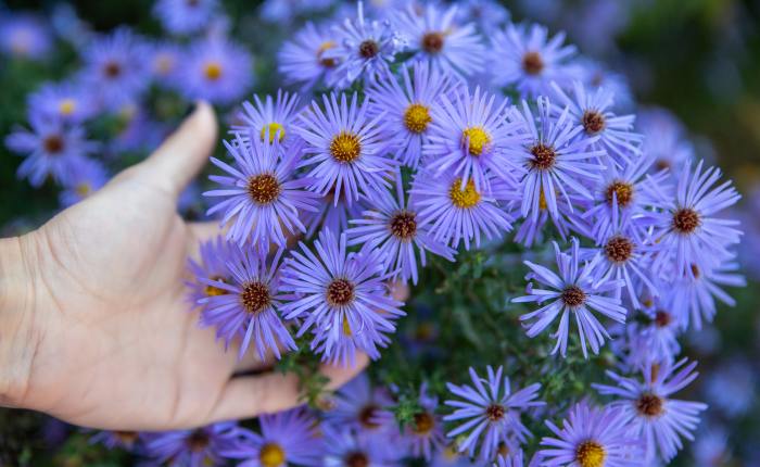 No Place I’d Rather&nbsp;Be