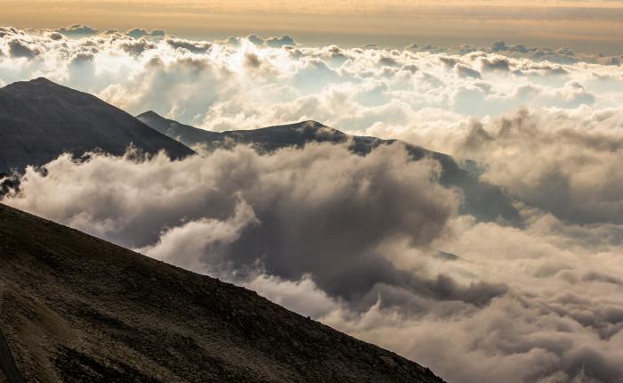 Pleading for a Drop of&nbsp;Water
