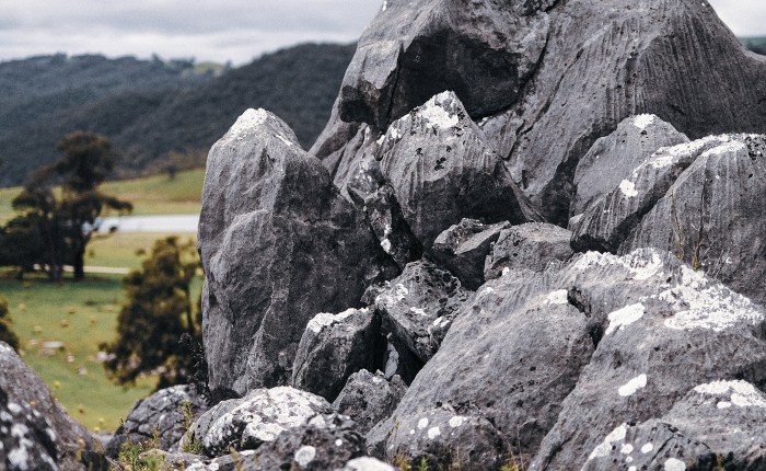 He understood it&nbsp;well