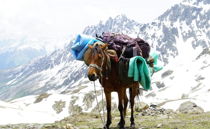 His Yoke is Easy and His Burden Light